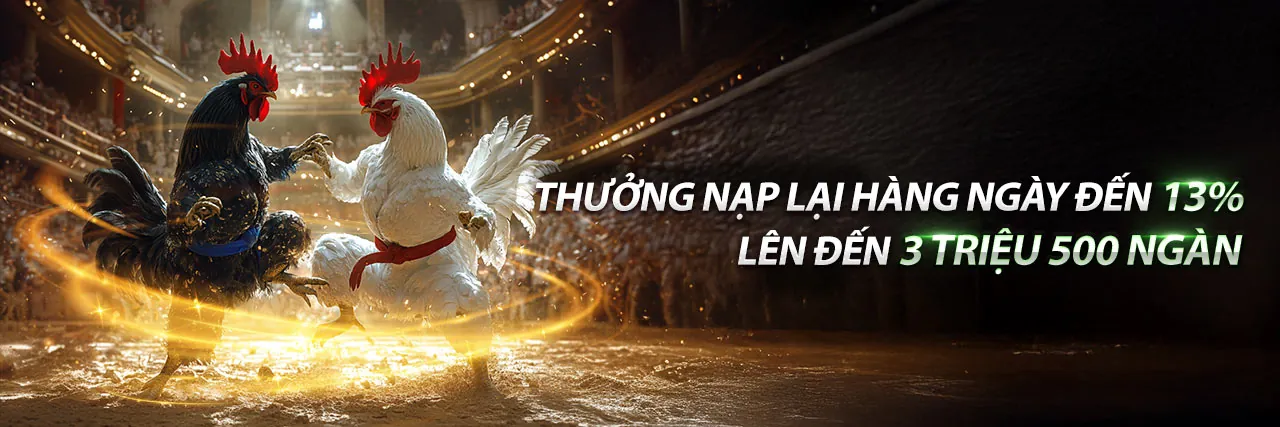 Hướng dẫn cá cược cho người mới bắt đầu tại bu88 nhà cái